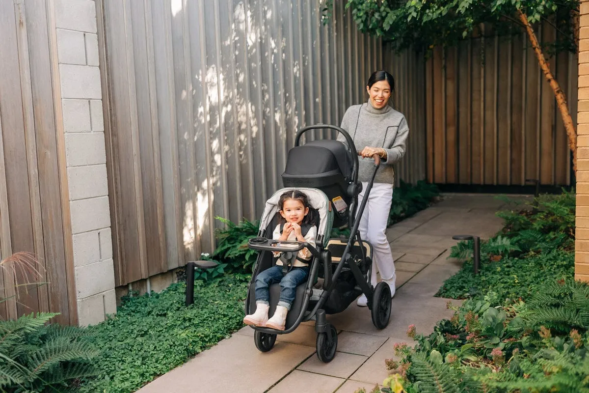 2024 UPPAbaby Vista V2 RumbleSeat V2 