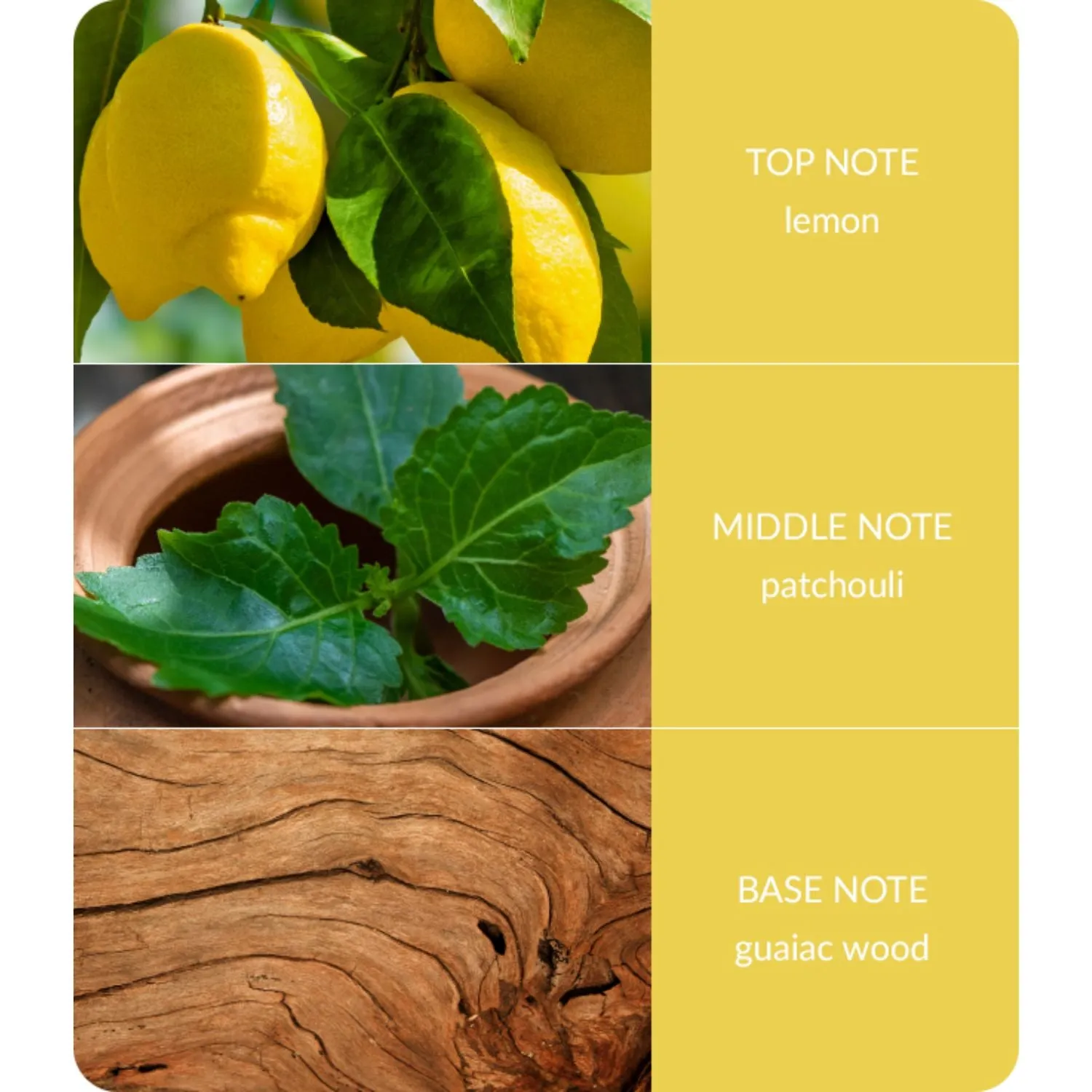 Bamboo 90ml Patchouli & Guaiac Wood Room Fragrance Spray