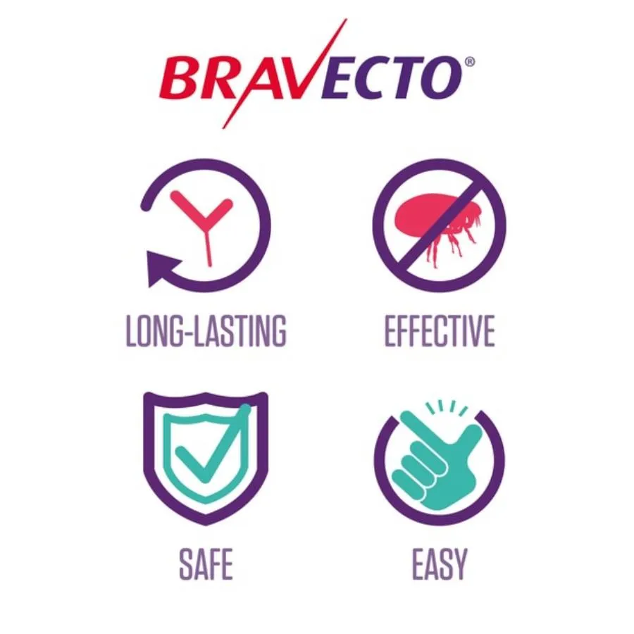 Bravecto Very Large Dog Purple
