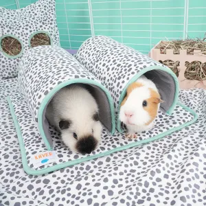 Double Tunnel | Dreamy Dalmatian