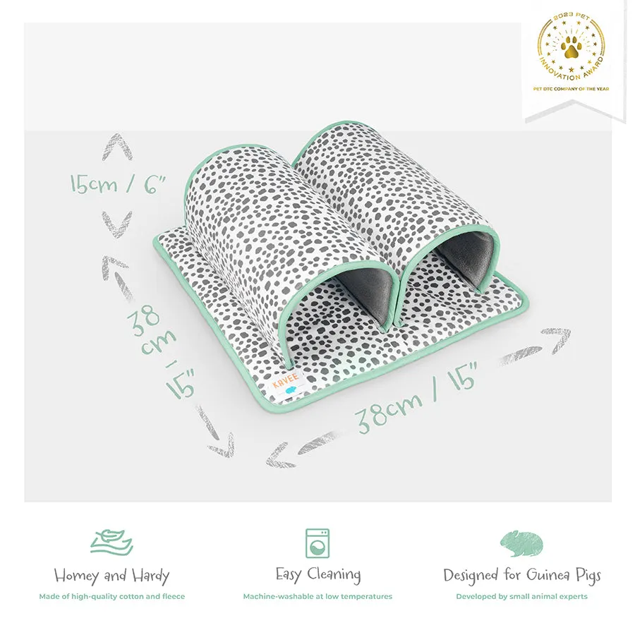 Double Tunnel | Dreamy Dalmatian