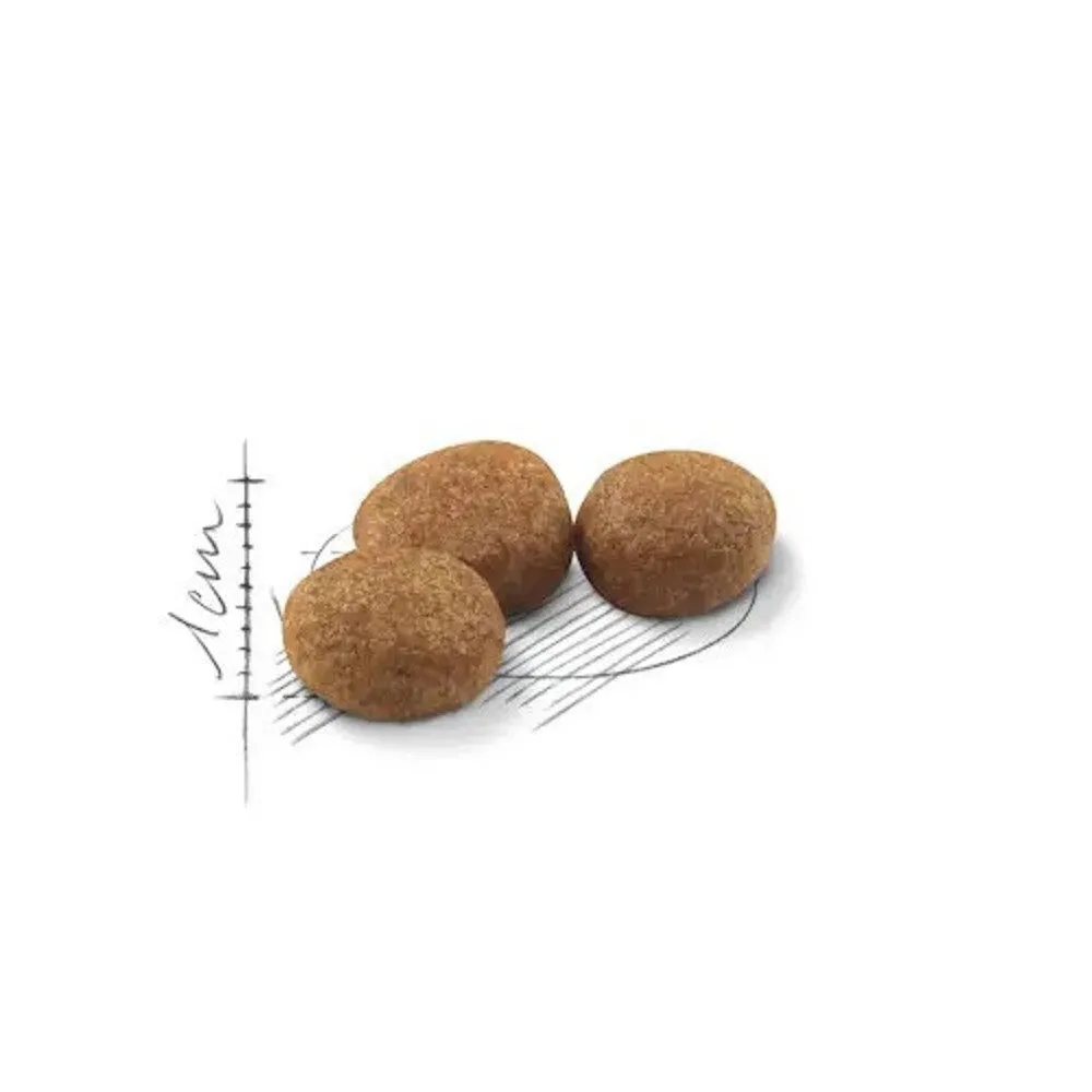 FHN Regular Sterilised for Adult Cat Dry Food