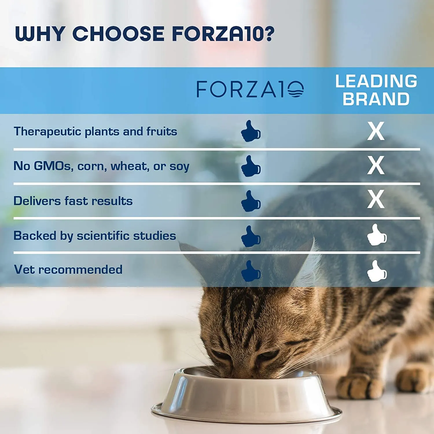 Forza10, Active Dry Cat Food Urinary Tract Health, Fish Flavor Urinary Tract Cat Food, Adult Cats Urinary Cat Food, 4 Pound Bag Urinary Tract Cat Food Dry