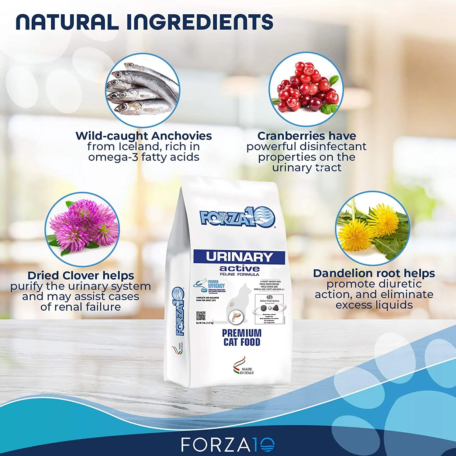 Forza10, Active Dry Cat Food Urinary Tract Health, Fish Flavor Urinary Tract Cat Food, Adult Cats Urinary Cat Food, 4 Pound Bag Urinary Tract Cat Food Dry