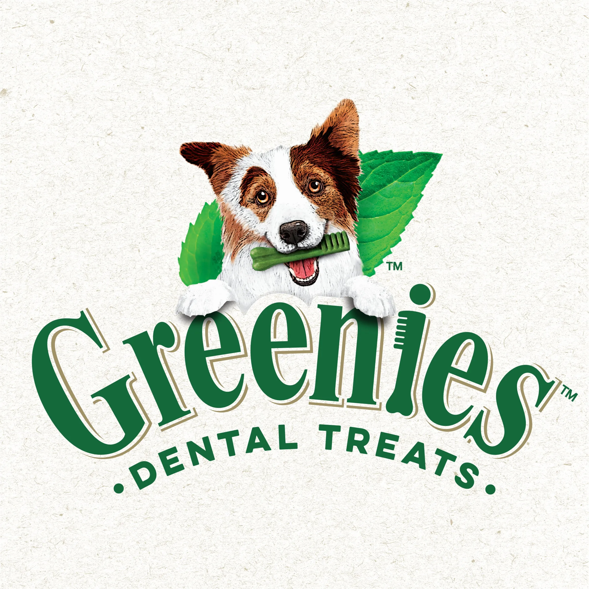 Greenies Dog Sweet Potato Dental Health Treats for Petite Dogs 340g