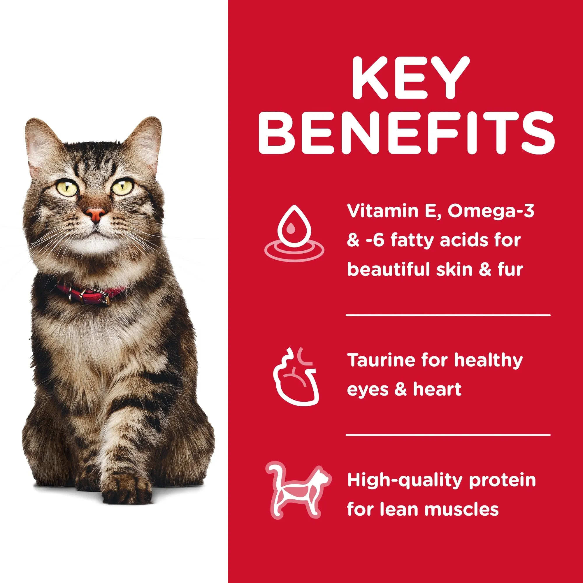 HILL'S SCIENCE DIET HAIRBALL CONTROL SENIOR 7  DRY CAT FOOD 2KG