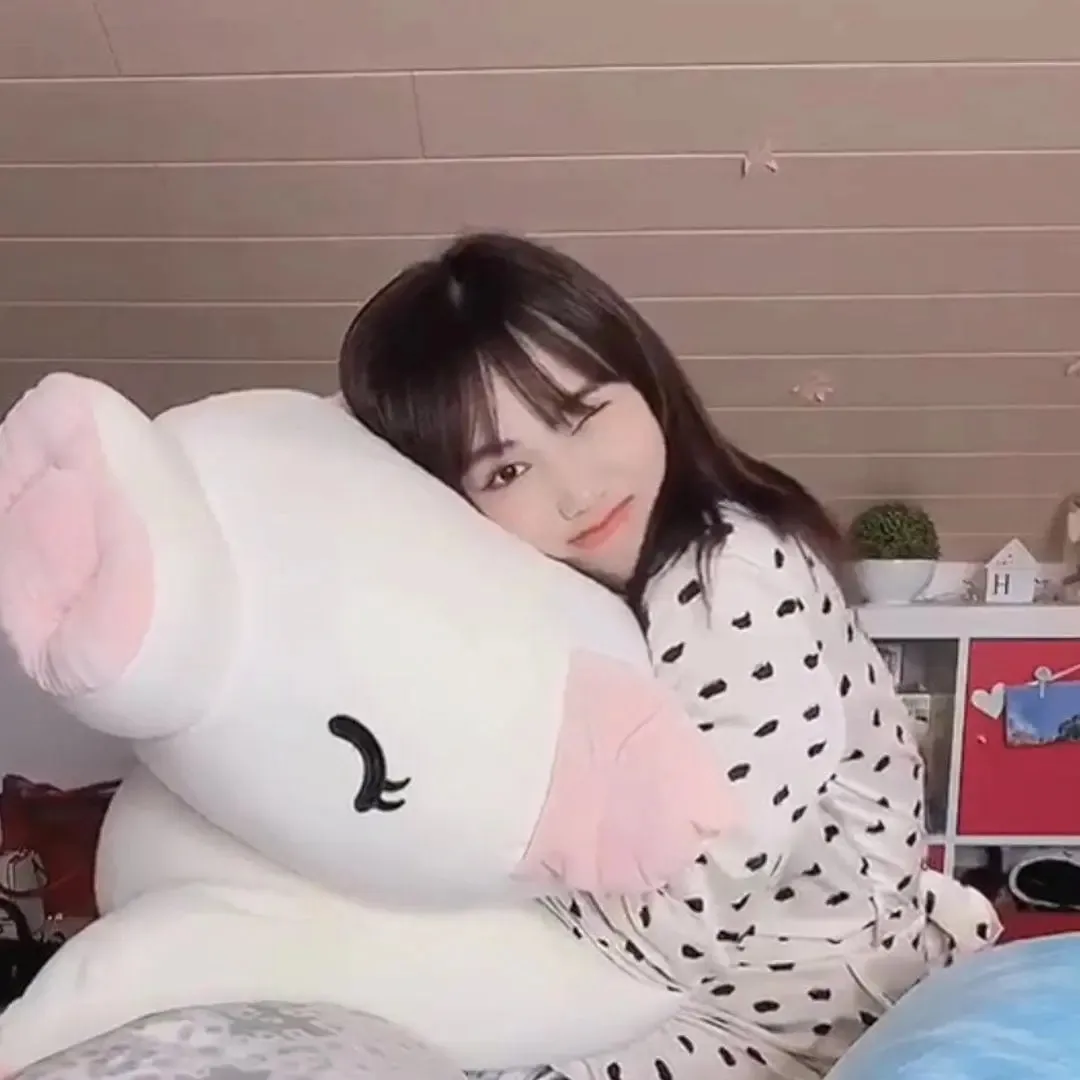 Jaja Cute Piggy Kawaii Stuffed Animals Plushies Exclusive
