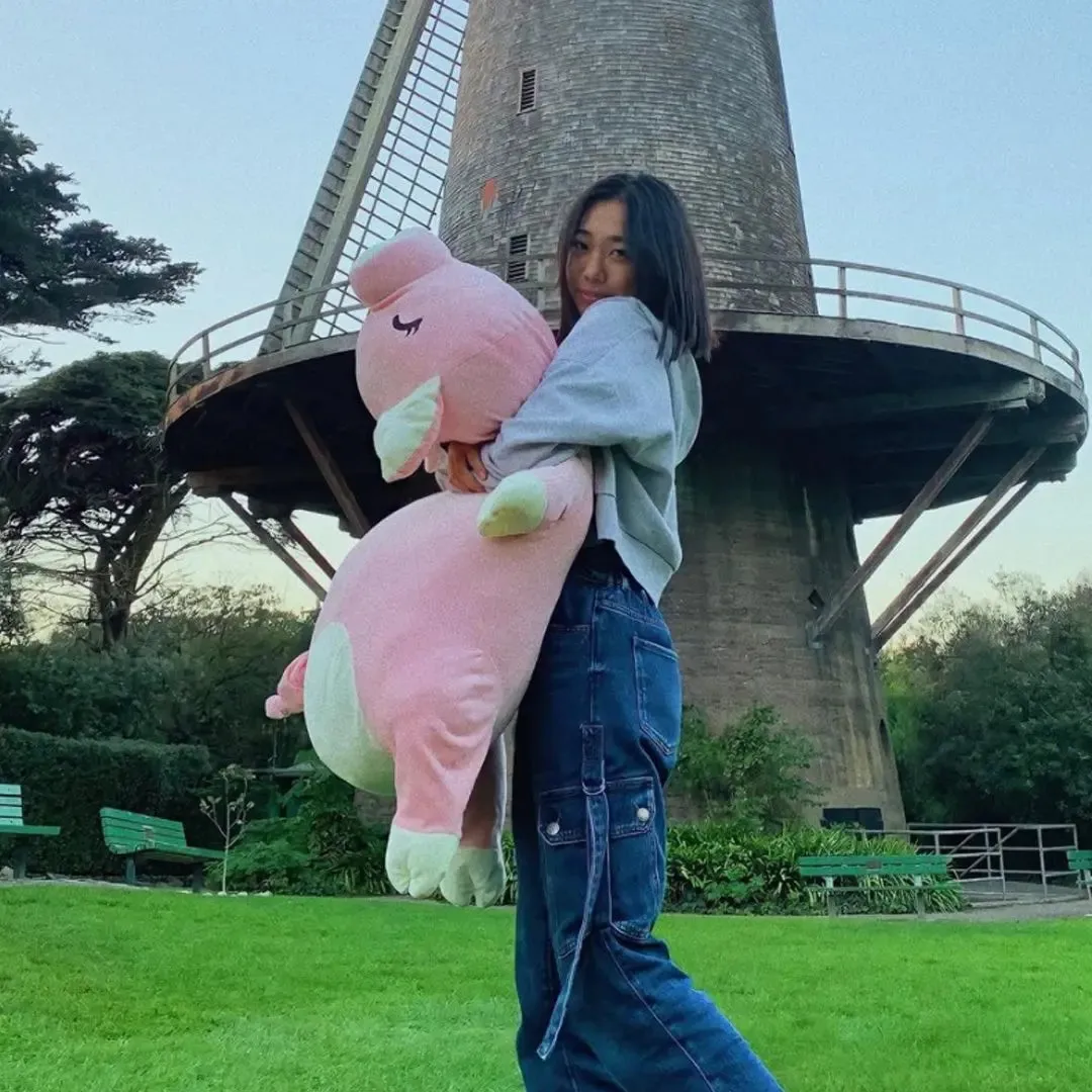 Jaja Cute Piggy Kawaii Stuffed Animals Plushies Exclusive