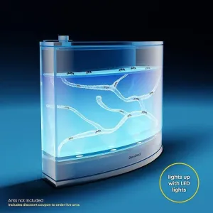 Light-Up Ant Habitat - LED Ant Farm for Live Ants