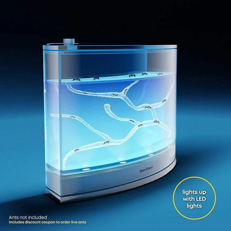 Light-Up Ant Habitat - LED Ant Farm for Live Ants