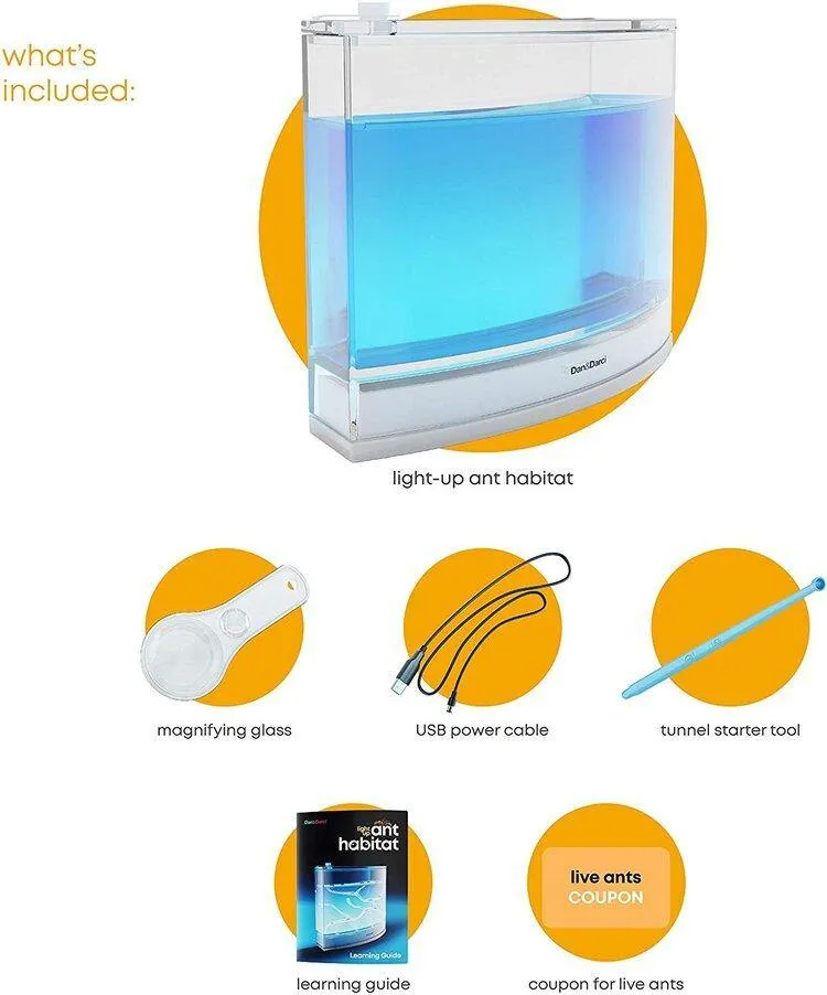 Light-Up Ant Habitat - LED Ant Farm for Live Ants
