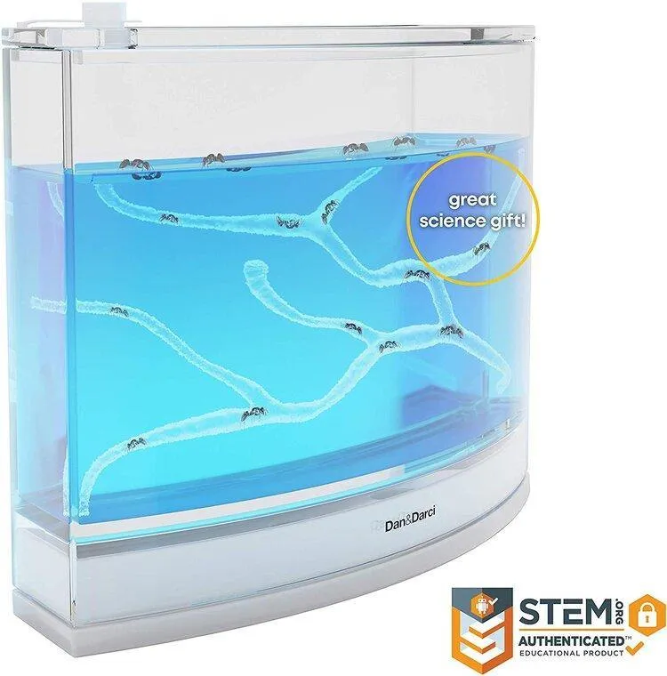 Light-Up Ant Habitat - LED Ant Farm for Live Ants