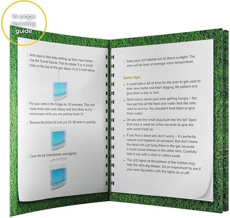 Light-Up Ant Habitat - LED Ant Farm for Live Ants