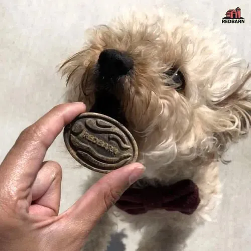 Redbarn Chew-A-Bulls Chip