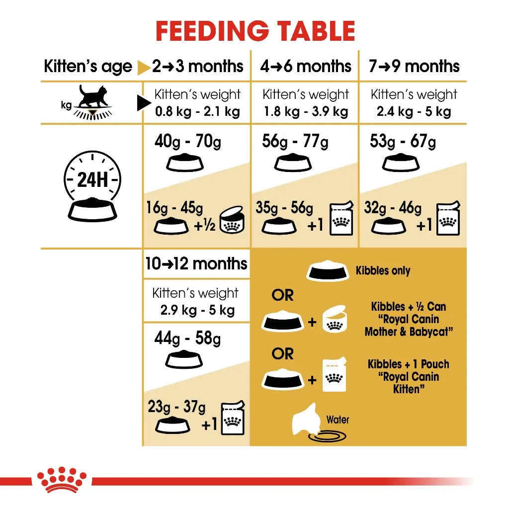 Royal Canin British Shorthair Kitten 2kg Dry Cat Food - Feline Breed Nutrition
