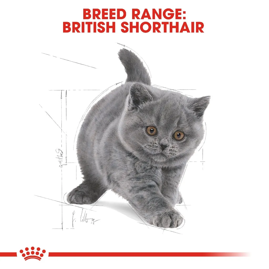 Royal Canin British Shorthair Kitten 2kg Dry Cat Food - Feline Breed Nutrition