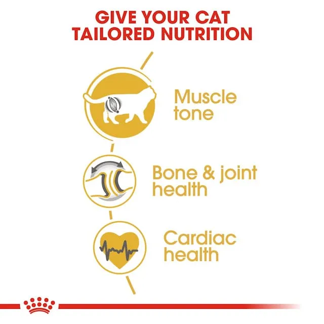 Royal Canin Cat British Shorthair Adult Dry Food 10kg