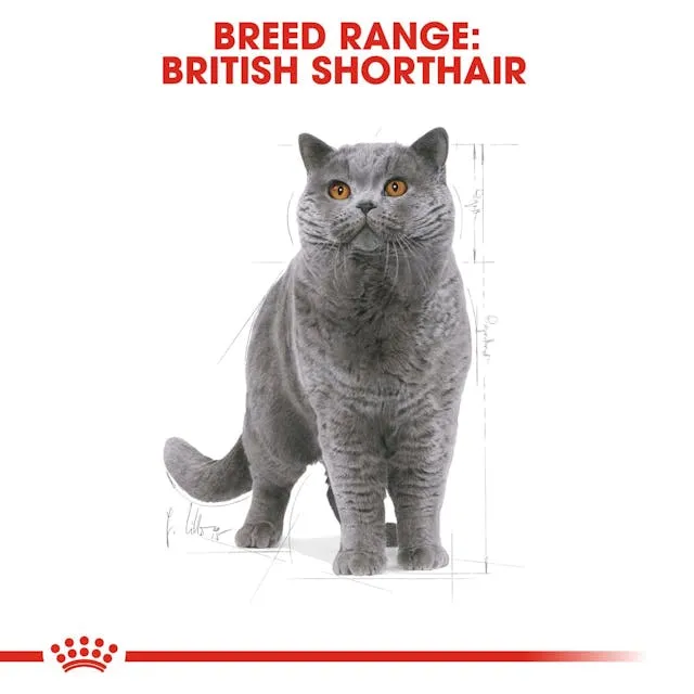 Royal Canin Cat British Shorthair Adult Dry Food 10kg