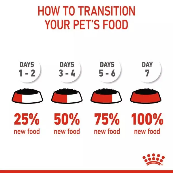 ROYAL CANIN® Feline Health Nutrition Kitten Wet Cat Food in Loaf
