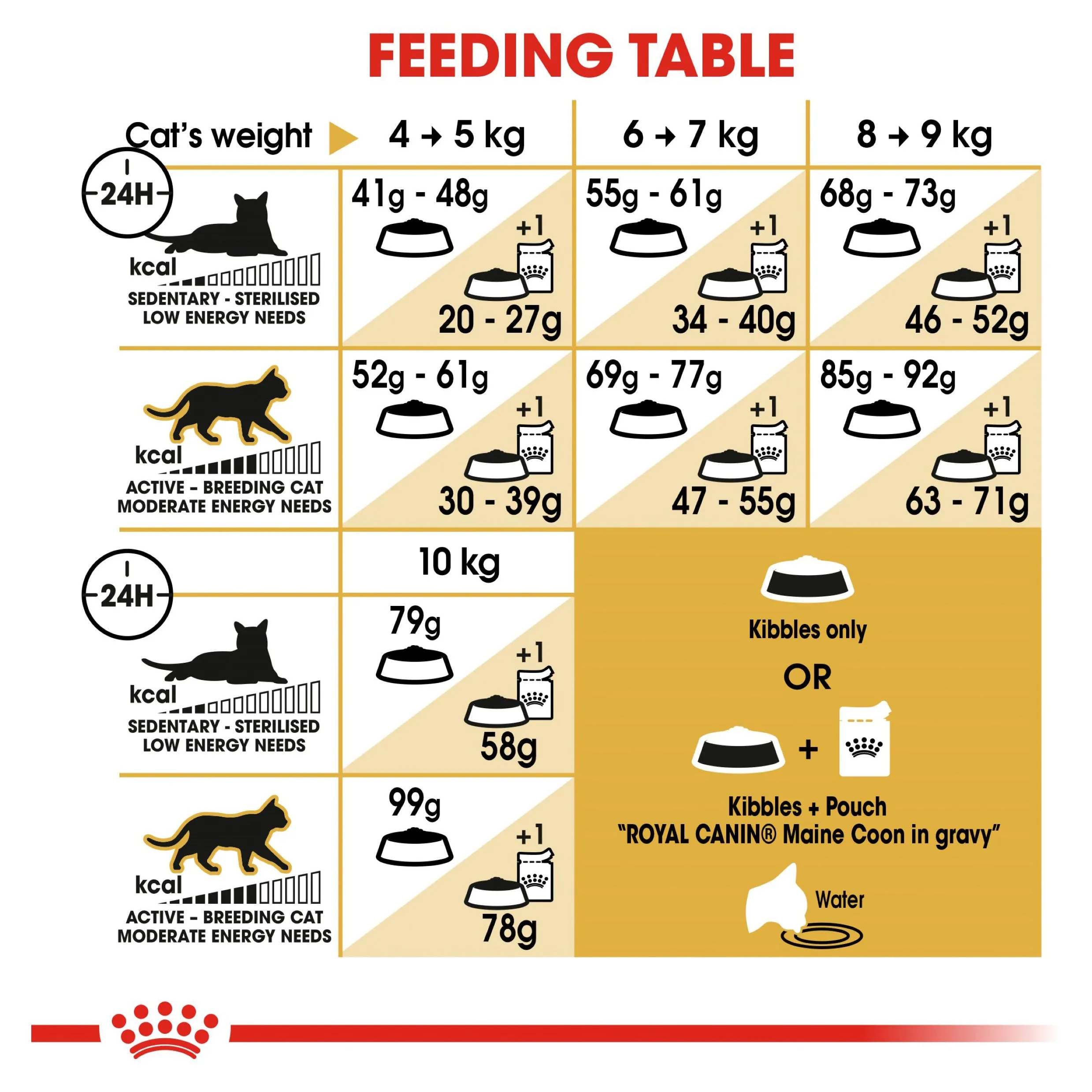 Royal Canin Maine Coon Adult Dry Cat Food 10kg