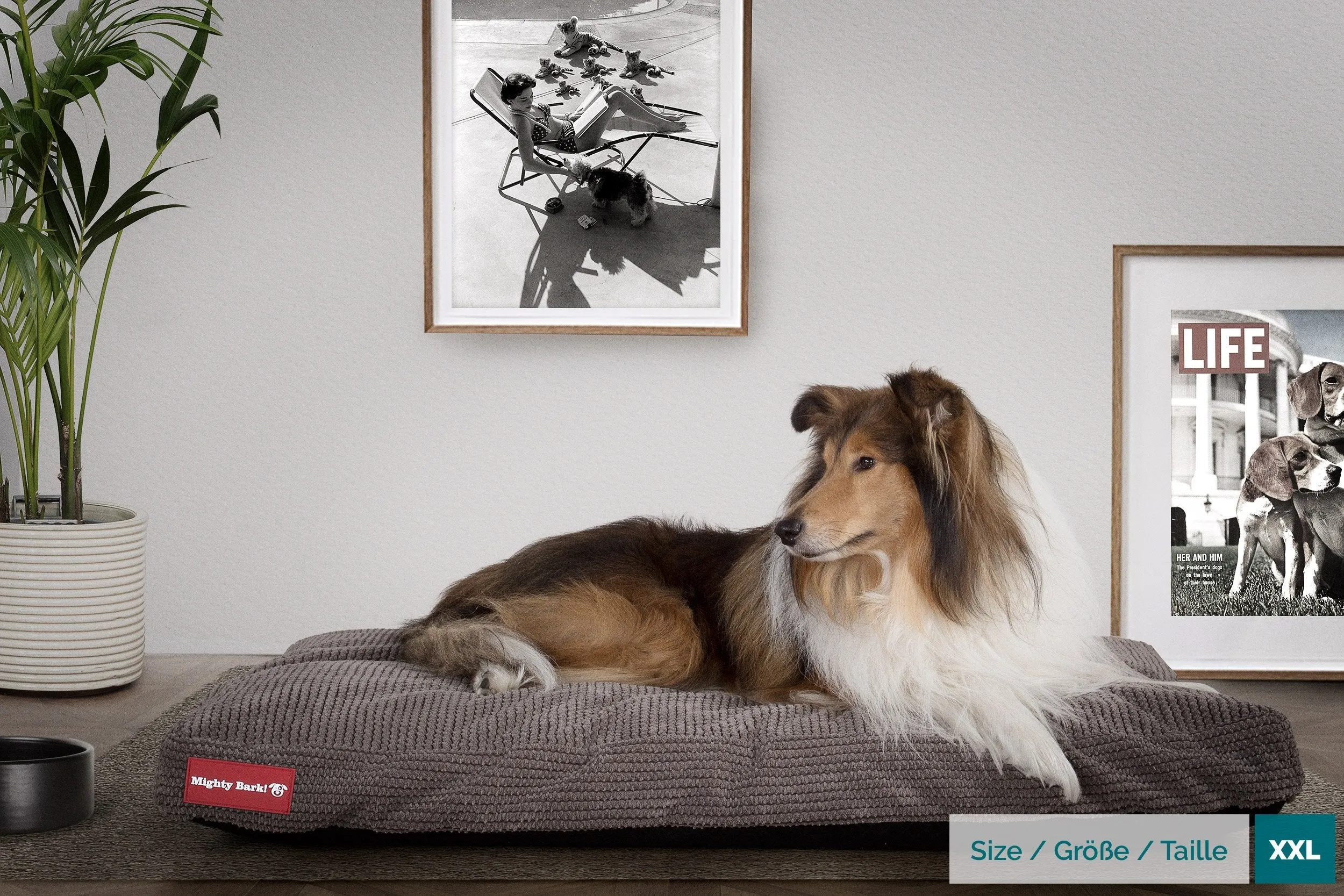 The Mattress - Orthopedic Classic Memory Foam Dog Bed - Pom Pom Charcoal Grey