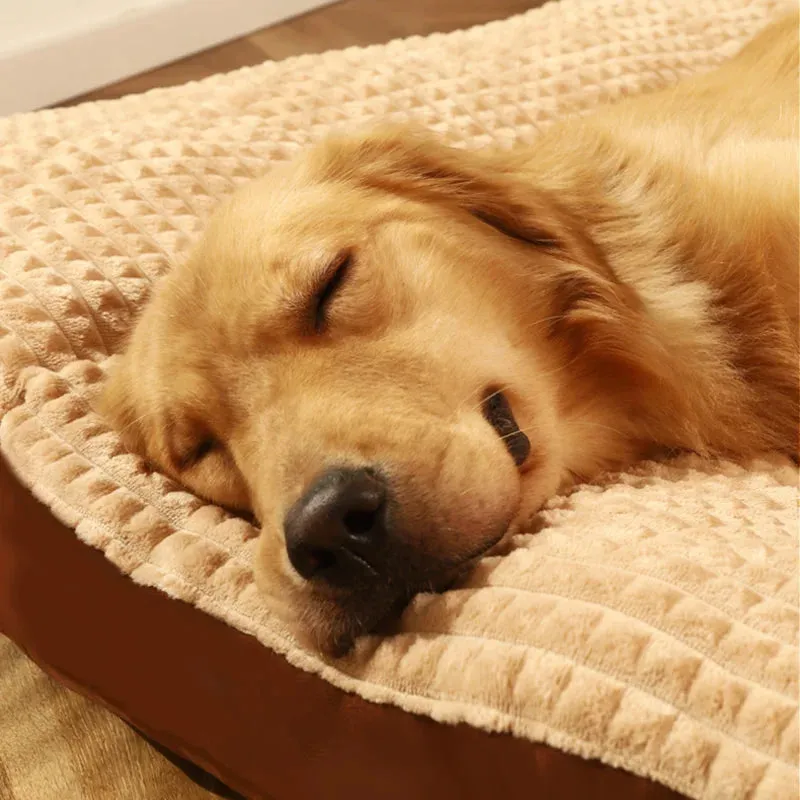 Warm Dog Sleeping Bed – Soft Fleece Pet Blanket & Detachable Cushion for Dogs & Cats
