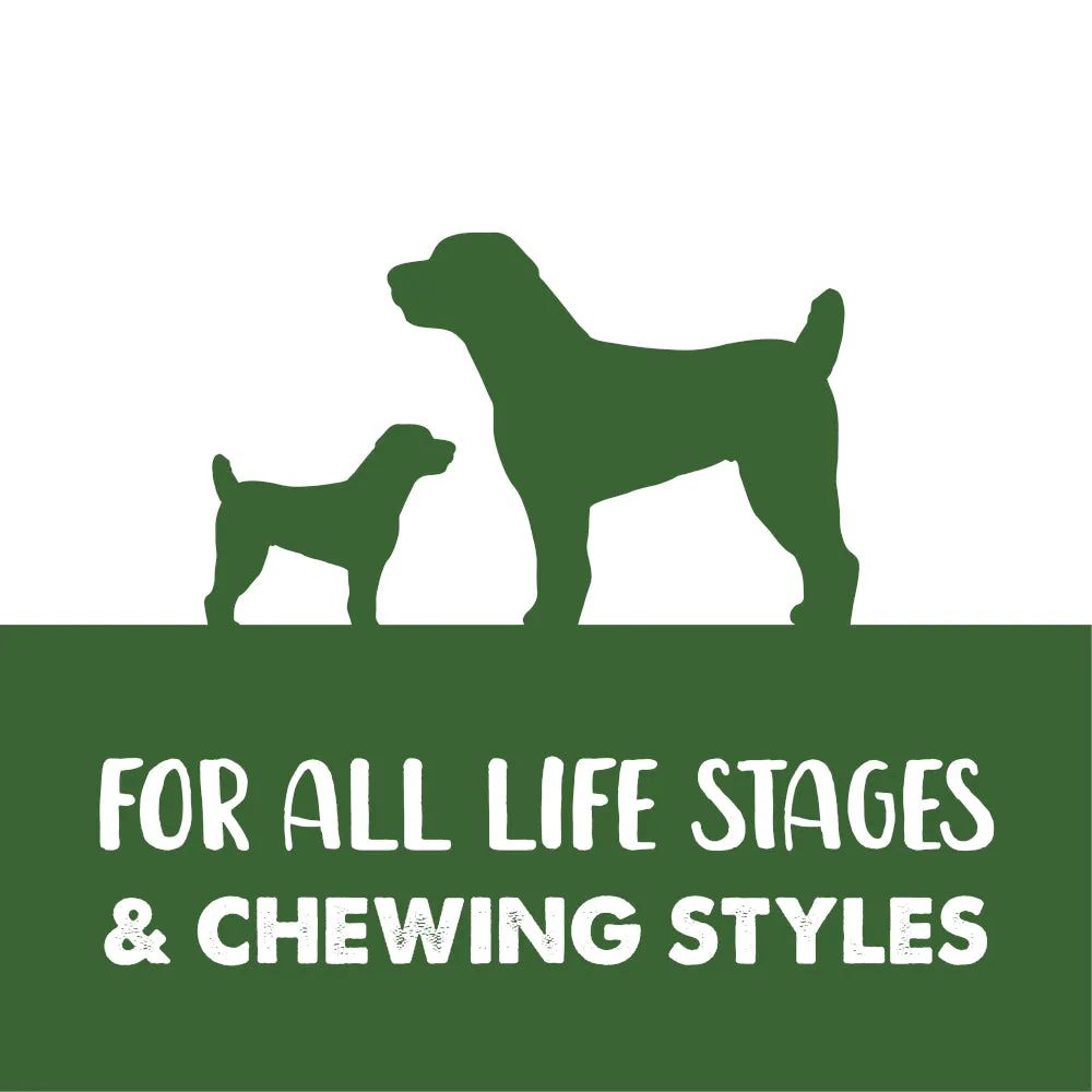 Zeus | Better Bones | Rawhide Free Dog Chews | Wrapped Lamb & Mint - Small - 9 Pack